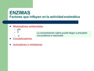 ENZIMAS Factores que influyen en la actividad enzimática Moduladores ambientales   pH T  Cocatalizadores   Activadores e inhibidores La concentración salina puede llegar a precipitar una proteína e inactivarla 