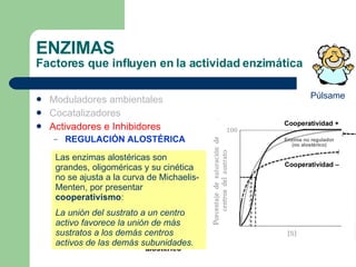 ENZIMAS Factores que influyen en la actividad enzimática Moduladores ambientales Cocatalizadores Activadores e Inhibidores REGULACIÓN ALOSTÉRICA Las enzimas alostéricas son grandes, oligoméricas y su cinética no se ajusta a la curva de Michaelis-Menten, por presentar  cooperativismo : La unión del sustrato a un centro activo favorece la unión de más sustratos a los demás centros activos de las demás subunidades. Púlsame 