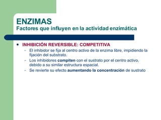 ENZIMAS Factores que influyen en la actividad enzimática INHIBICIÓN REVERSIBLE: COMPETITIVA El inhibidor se fija al centro activo de la enzima libre, impidiendo la fijación del substrato. Los inhibidores  compiten  con el sustrato por el centro activo, debido a su similar estructura espacial. Se revierte su efecto  aumentando la concentración  de sustrato 