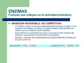 ENZIMAS Factores que influyen en la actividad enzimática INHIBICIÓN REVERSIBLE: NO COMPETITIVA El inhibidor se fija a la enzima independientemente de que lo haga o no el substrato; el inhibidor, por tanto, no impide la fijación del substrato a la enzima, pero sí impide la acción catalítica. Esta inhibición se caracteriza por que no se puede revertir el efecto del inhibidor, aumentando la concentración del substrato. Ejemplo : inhibición de la deshidrogenasa del gliceraldehido-3-fosfato por la  yodo-acetamida :  Enzima-SH +  I-CH 2  - CONH 2   Enzima-S- CH 2   - CONH 2  + IH 