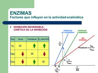 ENZIMAS Factores que influyen en la actividad enzimática INHIBICIÓN REVERSIBLE: CINÉTICA DE LA INHIBICIÓN = Inc = Iac =   Ic K M  aparente Pendiente Vmax Tipo 