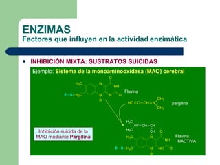ENZIMAS Factores que influyen en la actividad enzimática INHIBICIÓN MIXTA: SUSTRATOS SUICIDAS Ejemplo:  Sistema de la monoaminooxidasa (MAO) cerebral Inhibición suicida de la MAO mediante  Pargilina Flavina Flavina INACTIVA pargilina 