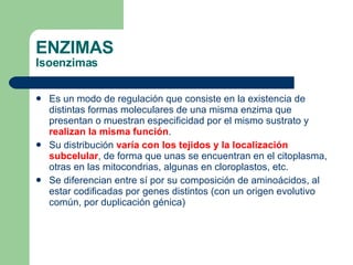 Es un modo de regulación que consiste en la existencia de distintas formas  moleculares de una misma enzima que presentan o muestran especificidad por el mismo sustrato y  realizan la misma función . Su distribución  varía con los tejidos y la localización subcelular , de forma que unas se encuentran en el citoplasma, otras en las mitocondrias, algunas en cloroplastos, etc. Se diferencian entre sí por su composición de aminoácidos, al estar codificadas por genes distintos (con un origen evolutivo común, por duplicación génica) ENZIMAS Isoenzimas 