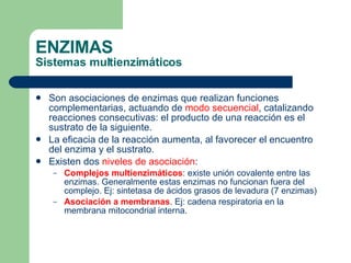 ENZIMAS Sistemas multienzimáticos Son asociaciones de enzimas que realizan funciones complementarias, actuando de  modo secuencial , catalizando reacciones consecutivas: el producto de una reacción es el sustrato de la siguiente. La eficacia de la reacción aumenta, al favorecer el encuentro del enzima y el sustrato. Existen dos  niveles de asociación : Complejos multienzimáticos : existe unión covalente entre las enzimas. Generalmente estas enzimas no funcionan fuera del complejo. Ej: sintetasa de ácidos grasos de levadura (7 enzimas) Asociación a membranas . Ej: cadena respiratoria en la membrana mitocondrial interna. 