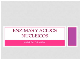 ENZIMAS Y ACIDOS
NUCLEICOS
ANDREA GRANDA

 