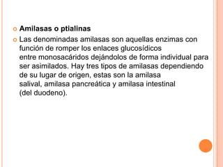 Amilasas o ptialinas
 Las denominadas amilasas son aquellas enzimas con
función de romper los enlaces glucosídicos
entre monosacáridos dejándolos de forma individual para
ser asimilados. Hay tres tipos de amilasas dependiendo
de su lugar de origen, estas son la amilasa
salival, amilasa pancreática y amilasa intestinal
(del duodeno).


 