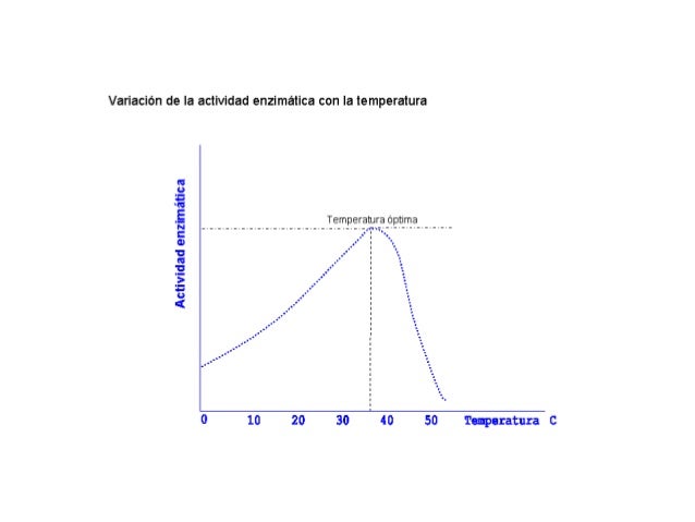 cuestionario de adherencia a la dieta mediterránea reseñas