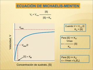 ECUACIÓN DE MICHAELIS-MENTEN   [S]  V 0  = V max  ---------------   [S] + K M Cuando V = V max /2: K M  = [S]  Para [S] << K M : Vmax v    ----------- [S]  K M Para [S] >> K M : v    Vmax    k 2  [E 0 ]  Concentración de sustrato, [S] Velocidad, V 