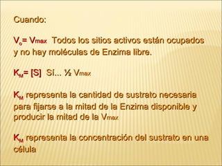 Cuando: V o = V max   Todos los sitios activos están ocupados y no hay moléculas de Enzima libre. K M = [S]   Sí... ½ V max K M  representa la cantidad de sustrato necesaria para fijarse a la mitad de la Enzima disponible y producir la mitad de la V max K M  representa la concentración del sustrato en una célula  