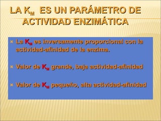LA K M   ES UN PARÁMETRO DE ACTIVIDAD ENZIMÁTICA La  K M  es inversamente proporcional con la actividad-afinidad de la enzima. Valor de  K M  grande, baja actividad-afinidad Valor de  K M  pequeño, alta actividad-afinidad 