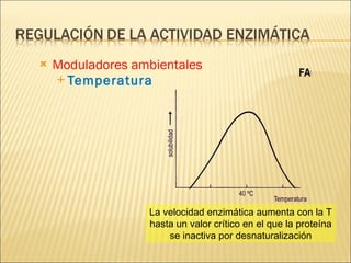 Moduladores ambientales   Temperatura La velocidad enzimática aumenta con la T hasta un valor crítico en el que la proteína se inactiva por desnaturalización 