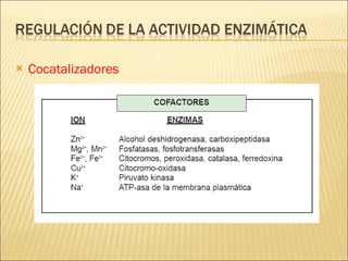Cocatalizadores 