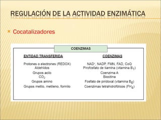 Cocatalizadores 