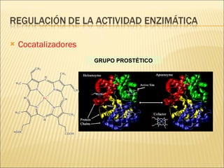 Cocatalizadores GRUPO PROSTÉTICO 