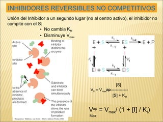 INHIBIDORES REVERSIBLES NO COMPETITIVOS Unión del Inhibidor a un segundo lugar (no al centro activo), el inhibidor no compite con el S: No cambia K M Disminuye V max V ap  = V max / (1 + [I] / K I ) Max “ Bioquímica” Mathews, van Holde y Ahern. Addison Wesley 2002   [S]  V 0  = V max  ---------------   [S] + K M ap 