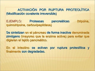 ACTIVACIÓN POR RUPTURA PROTEOLÍTICA (Modificación covalente irreversible) EJEMPLO:  Proteasas pancreáticas  (tripsina, quimotripsina, carboxipeptidasa) Se sintetizan  en el páncreas  de forma inactiva  denominada   zimógeno  (mayores que la enzima activa) para evitar que digieran el tejido pancreático. En el intestino   se activan por ruptura proteolítica y  finalmente   son degradadas. 