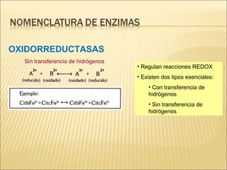 Sin transferencia de hidrógenos OXIDORREDUCTASAS Regulan reacciones REDOX Existen dos tipos esenciales: Con transferencia de hidrógenos Sin transferencia de hidrógenos 