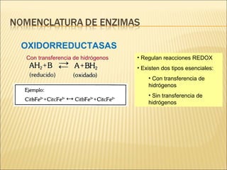OXIDORREDUCTASAS Regulan reacciones REDOX Existen dos tipos esenciales: Con transferencia de hidrógenos Sin transferencia de hidrógenos Con transferencia de hidrógenos 