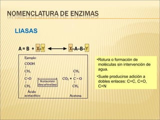LIASAS Rotura o formación de moléculas sin intervención de  agua. Suele producirse adición a dobles enlaces: C=C, C=O, C=N 