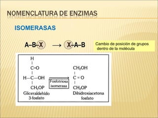 ISOMERASAS Cambio de posición de grupos dentro de la molécula 