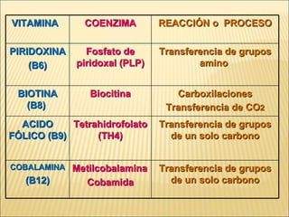 VITAMINA  COENZIMA REACCIÓN o  PROCESO PIRIDOXINA (B6) Fosfato de piridoxal (PLP) Transferencia de grupos amino  BIOTINA (B8)  Biocitina Carboxilaciones Transferencia de CO 2 ACIDO FÓLICO (B9) Tetrahidrofolato (TH4) Transferencia de grupos de un solo carbono COBALAMINA (B12) Metilcobalamina Cobamida Transferencia de grupos de un solo carbono 