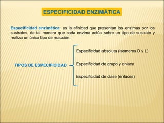 ESPECIFICIDAD ENZIMÁTICA Especificidad enzimática : es la afinidad que presentan los enzimas por los sustratos, de tal manera que cada enzima actúa sobre un tipo de sustrato y realiza un único tipo de reacción.  TIPOS DE ESPECIFICIDAD Especificidad absoluta (isómeros D y L) Especificidad de grupo y enlace Especificidad de clase (enlaces) 