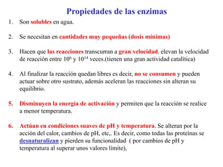 1. Son solubles en agua.
2. Se necesitan en cantidades muy pequeñas (dosis mínimas)
3. Hacen que las reacciones transcurran a gran velocidad. elevan la velocidad
de reacción entre 106 y 1014 veces.(tienen una gran actividad catalítica)
4. Al finalizar la reacción quedan libres es decir, no se consumen y pueden
actuar sobre otro sustrato, además aceleran las reacciones sin alteran su
equilibrio.
5. Disminuyen la energía de activación y permiten que la reacción se realice
a menor temperatura.
6. Actúan en condiciones suaves de pH y temperatura. Se alteran por la
acción del calor, cambios de pH, etc,. Es decir, como todas las proteínas se
desnaturalizan y pierden su funcionalidad ( por cambios de pH y
temperatura al superar unos valores límite),
Propiedades de las enzimas
 