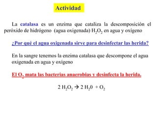 La catalasa es un enzima que cataliza la descomposición el
peróxido de hidrógeno (agua oxigenada) H2O2 en agua y oxígeno
¿Por qué el agua oxigenada sirve para desinfectar las herida?
En la sangre tenemos la enzima catalasa que descompone el agua
oxigenada en agua y oxígeno
El O2 mata las bacterias anaerobias y desinfecta la herida.
2 H2O2  2 H20 + O2
Actividad
 