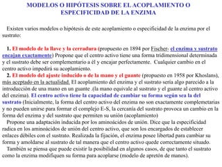 Existen varios modelos o hipótesis de este acoplamiento o especificidad de la enzima por el
sustrato:
1. El modelo de la llave y la cerradura (propuesto en 1894 por Fischer- el enzima y sustrato
encajan exactamente) Propone que el centro activo tiene una forma tridimensional determinada
y el sustrato debe ser complementario a él y encajar perfectamente. Cualquier cambio en el
centro activo impedirá su acoplamiento.
2. El modelo del ajuste inducido o de la mano y el guante (propuesto en 1958 por Khoslans),
más aceptado en la actualidad. El acoplamiento del enzima y el sustrato sería algo parecido a la
introducción de una mano en un guante .(la mano equivale al sustrato y el guante al centro activo
del enzima). El centro activo tiene la capacidad de cambiar su forma según sea la del
sustrato (Inicialmente, la forma del centro activo del enzima no son exactamente complemetarias
y no pueden unirse para formar el complejo E-S, la cercanía del sustrato provoca un cambio en la
forma del enzima y del sustrato que permiten su unión (acoplamiento)
Propone una adaptación inducida por los aminoácidos de unión. Dice que la especificidad
radica en los aminoácidos de unión del centro activo, que son los encargados de establecer
enlaces débiles con el sustrato. Realizada la fijación, el enzima posee libertad para cambiar su
forma y amoldarse al sustrato de tal manera que el centro activo quede correctamente situado.
También se piensa que puede existir la posibilidad en algunos casos, de que tanto el sustrato
como la enzima modifiquen su forma para acoplarse (modelo de apretón de manos).
MODELOS O HIPÓTESIS SOBRE ELACOPLAMIENTO O
ESPECIFICIDAD DE LA ENZIMA
 
