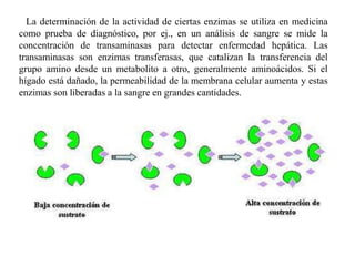 La determinación de la actividad de ciertas enzimas se utiliza en medicina
como prueba de diagnóstico, por ej., en un análisis de sangre se mide la
concentración de transaminasas para detectar enfermedad hepática. Las
transaminasas son enzimas transferasas, que catalizan la transferencia del
grupo amino desde un metabolito a otro, generalmente aminoácidos. Si el
hígado está dañado, la permeabilidad de la membrana celular aumenta y estas
enzimas son liberadas a la sangre en grandes cantidades.
 
