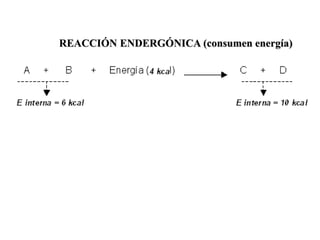 REACCIÓN ENDERGÓNICA (consumen energía)
 