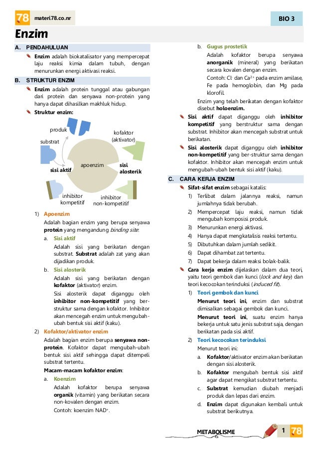 Materi Enzim Kelas Xii Sma