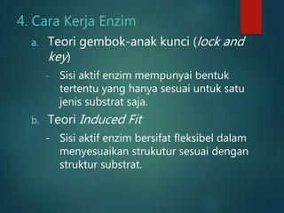 4. Cara Kerja Enzim
a. Teori gembok-anak kunci (lock and
key)
- Sisi aktif enzim mempunyai bentuk
tertentu yang hanya sesuai untuk satu
jenis substrat saja.
b. Teori Induced Fit
- Sisi aktif enzim bersifat fleksibel dalam
menyesuaikan strukutur sesuai dengan
struktur substrat.
 