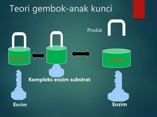 Teori gembok-anak kunci
Substrat
Enzim
Produk
Produk
Kompleks enzim substrat
Enzim
 