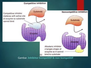Gambar. Inhibitor kompetitif & non kompetitif
 