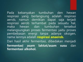 Pada kebanyakan tumbuhan den hewan
respirasi yang berlangsung adalah respirasi
aerob, namun demikian dapat saja terjadi
respirasi aerob terhambat pada sesuatu hal,
maka hewan dan tumbuhan tersebut
melangsungkan proses fermentasi yaitu proses
pembebasan energi tanpa adanya oksigen,
nama lainnya adalah respirasi anaerob.
Dari hasil akhir fermentasi, dibedakan menjadi
fermentasi asam laktat/asam susu dan
fermentasi alkohol.
 