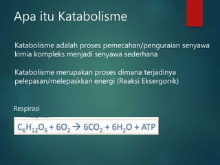 Apa itu Katabolisme
Katabolisme adalah proses pemecahan/penguraian senyawa
kimia kompleks menjadi senyawa sederhana
Katabolisme merupakan proses dimana terjadinya
pelepasan/melepaskkan energi (Reaksi Eksergonik)
Respirasi
 
