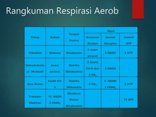 Rangkuman Respirasi Aerob
Tahap Bahan
Tempat
Reaksi
Hasil
Senyawa
Karbon
Jumlah
Akseptor
Jumlah
ATP
Glikolisis Glukosa Sitoplasma
2 asam
piruvat
2 NADH 2 ATP
Dekarboksila
si Oksidatif
Asam
piruvat
Matriks
Mitokondria
2 Asetil
CO-A dan
2 CO2
2 NADH -
Daur Krebs
Asetil CO-
A
Matriks
Mitkondria
4 CO2
6 NADH
2 FADH2
2 ATP
Transpor
Elektron
10 NADH
2 FADH2
Membran
Dalam
Mitokondria
- - 34 ATP
 