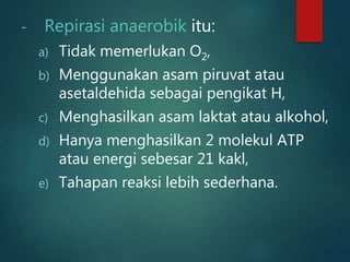 - Repirasi anaerobik itu:
a) Tidak memerlukan O2,
b) Menggunakan asam piruvat atau
asetaldehida sebagai pengikat H,
c) Menghasilkan asam laktat atau alkohol,
d) Hanya menghasilkan 2 molekul ATP
atau energi sebesar 21 kakl,
e) Tahapan reaksi lebih sederhana.
 