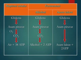 Repirasi seluler Fermentasi
Alkohol Asam laktat
Glukosa
Asam piruvat
O2
CO2
Air + 38 ATP
Glukosa
Asam piruvat
CO2
Alkohol + 2 ATP
Glukosa
Asam piruvat
Asam laktat +
2ATP
 