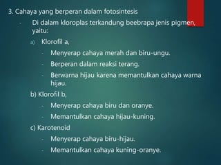 3. Cahaya yang berperan dalam fotosintesis
- Di dalam kloroplas terkandung beebrapa jenis pigmen,
yaitu:
a) Klorofil a,
- Menyerap cahaya merah dan biru-ungu.
- Berperan dalam reaksi terang.
- Berwarna hijau karena memantulkan cahaya warna
hijau.
b) Klorofil b,
- Menyerap cahaya biru dan oranye.
- Memantulkan cahaya hijau-kuning.
c) Karotenoid
- Menyerap cahaya biru-hijau.
- Memantulkan cahaya kuning-oranye.
 