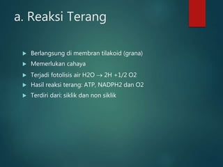 a. Reaksi Terang
 Berlangsung di membran tilakoid (grana)
 Memerlukan cahaya
 Terjadi fotolisis air H2O  2H +1/2 O2
 Hasil reaksi terang: ATP, NADPH2 dan O2
 Terdiri dari: siklik dan non siklik
 