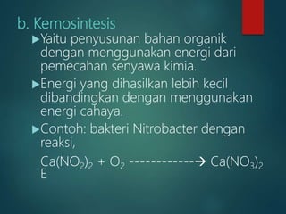 b. Kemosintesis
Yaitu penyusunan bahan organik
dengan menggunakan energi dari
pemecahan senyawa kimia.
Energi yang dihasilkan lebih kecil
dibandingkan dengan menggunakan
energi cahaya.
Contoh: bakteri Nitrobacter dengan
reaksi,
Ca(NO2)2 + O2 ------------ Ca(NO3)2
E
 