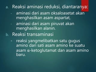 a. Reaksi aminasi reduksi, diantaranya:
- aminasi dari asam oksaloasetat akan
menghasilkan asam aspartat,
- aminasi dari asam piruvat akan
menghasilkan alanin.
b. Reaksi transaminasi
- reaksi yangmelibatkan satu gugus
amino dari sati asam amino ke suatu
asam α-ketoglutamat dan asam amino
baru.
 