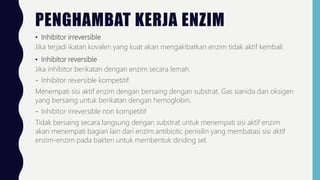 PENGHAMBAT KERJA ENZIM
• Inhibitor irreversible
Jika terjadi ikatan kovalen yang kuat akan mengakibatkan enzim tidak aktif kembali.
• Inhibitor reversible
Jika inhibitor berikatan dengan enzim secara lemah.
- Inhibitor reversible kompetitif
Menempati sisi aktif enzim dengan bersaing dengan substrat. Gas sianida dan oksigen
yang bersaing untuk berikatan dengan hemoglobin.
- Inhibitor irreversible non kompetitif
Tidak bersaing secara langsung dengan substrat untuk menempati sisi aktif enzim
akan menempati bagian lain dari enzim.antibiotic penisilin yang membatasi sisi aktif
enzim-enzim pada bakteri untuk membentuk dinding sel.
 