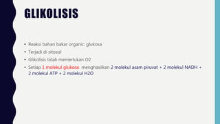 GLIKOLISIS
• Reaksi bahan bakar organic: glukosa
• Terjadi di sitosol
• Glikolisis tidak memerlukan O2
• Setiap 1 molekul glukosa menghasilkan 2 molekul asam piruvat + 2 molekul NADH +
2 molekul ATP + 2 molekul H2O
 