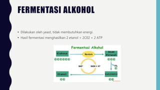 FERMENTASI ALKOHOL
• Dilakukan oleh yeast, tidak membutuhkan energi.
• Hasil fermentasi menghasilkan 2 etanol + 2C02 + 2 ATP
 