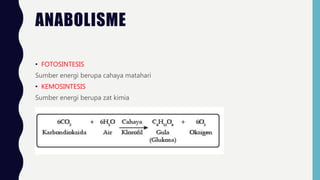 ANABOLISME
• FOTOSINTESIS
Sumber energi berupa cahaya matahari
• KEMOSINTESIS
Sumber energi berupa zat kimia
 