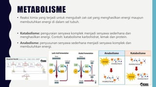 METABOLISME
• Reaksi kimia yang terjadi untuk mengubah zat-zat yang menghasilkan energi maupun
membutuhkan energi di dalam sel tubuh.
• Katabolisme: penguraian senyawa komplek menjadi senyawa sederhana dan
menghasilkan energi. Contoh: katabolisme karbohidrat, lemak dan protein.
• Anabolisme: penyusunan senyawa sederhana menjadi senyawa komplek dan
membutuhkan energi.
 