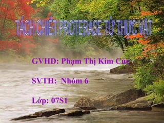 GVHD: Phạm Thị Kim Cúc

SVTH: Nhóm 6

Lớp: 07S1
 